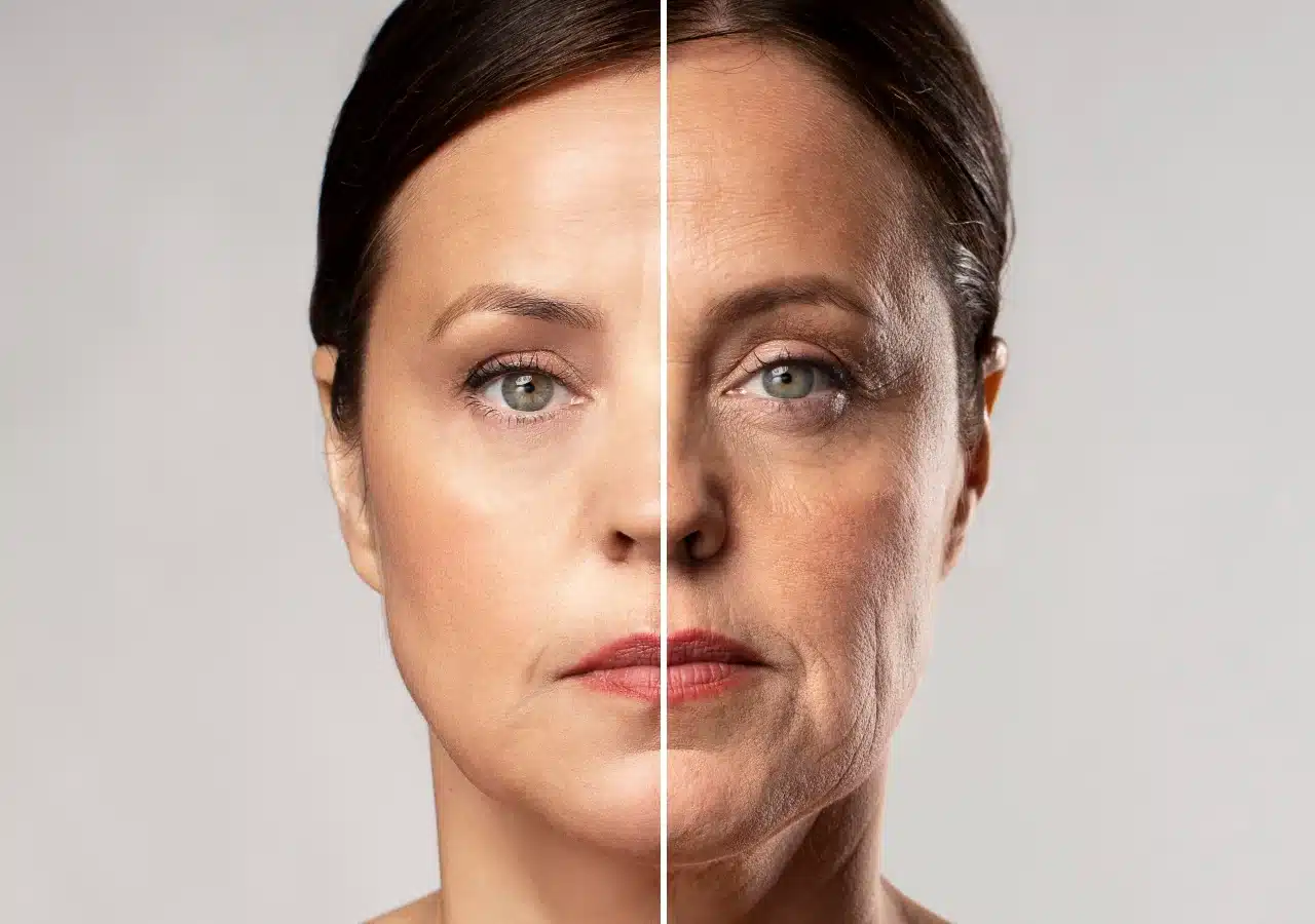 gallery-1-1 gallery-1-1